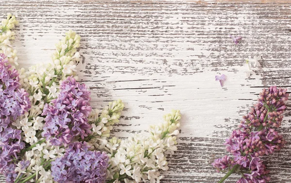 The beautiful lilac on a wooden background — Stock Photo, Image