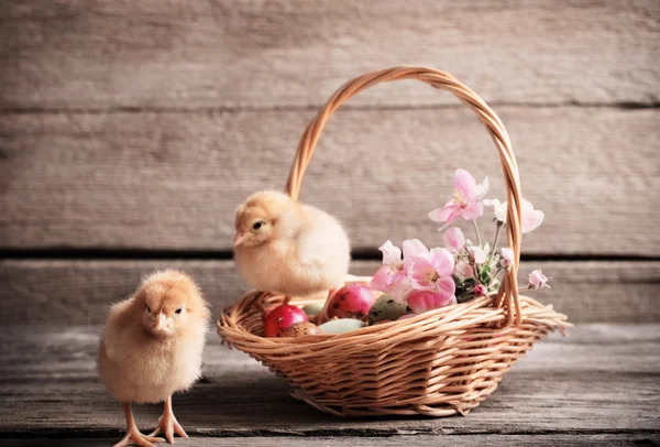 Pollo con huevos de Pascua sobre fondo de madera —  Fotos de Stock