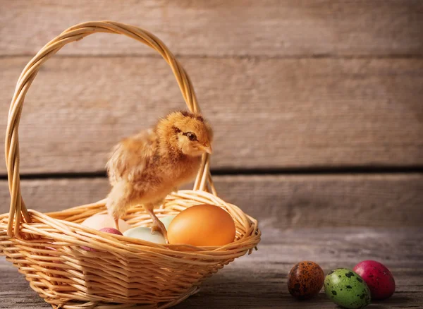 Galinha com ovos de Páscoa em fundo de madeira — Fotografia de Stock