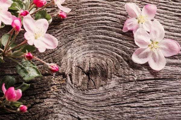 Flores de manzana sobre fondo de madera — Foto de Stock