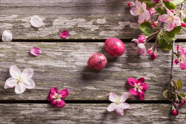 Uova di Pasqua con fiori di mela su sfondo di legno — Foto Stock