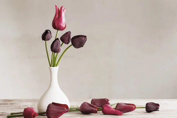 flowers on white background