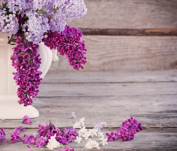 Still life with a blooming branch of lilac — Stock Photo, Image