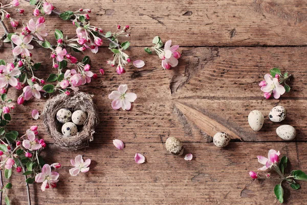 Ei im Nest mit rosa Blüten — Stockfoto