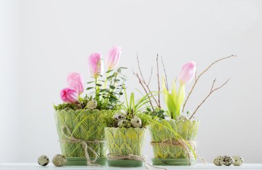 beyaz zemin üzerinde Paskalya dekorasyon