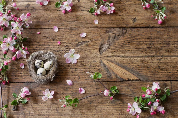 Egg in nest with pink flowers — Stock Photo, Image