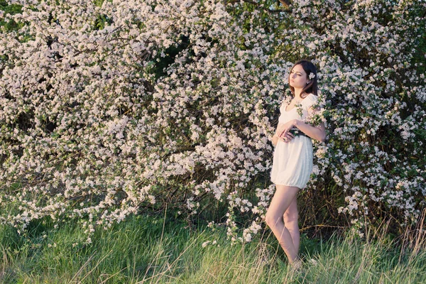 Mooie jonge meisje op achtergrond bloeiende appelboom — Stockfoto