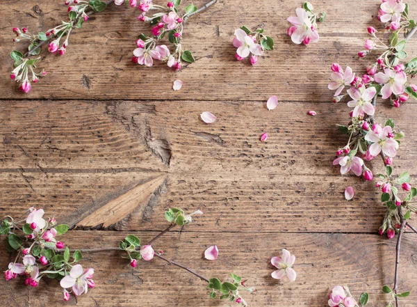 Flores de maçã em fundo de madeira — Fotografia de Stock