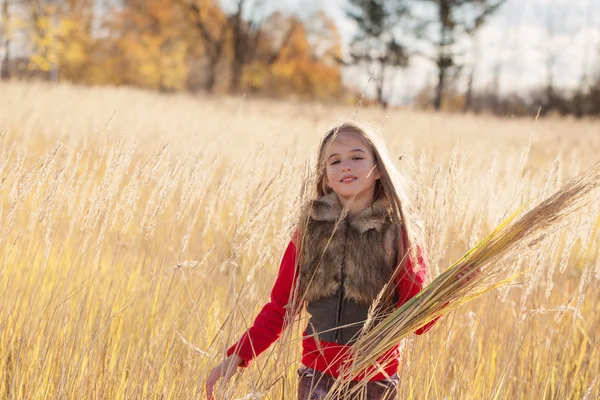 Bella ragazza nel parco autunnale — Foto Stock