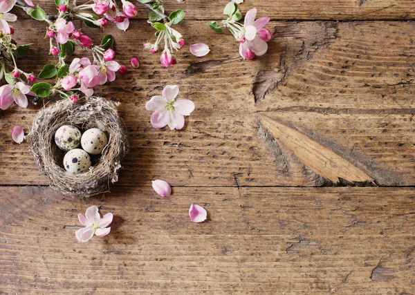 Ägg i boet med rosa blommor — Stockfoto