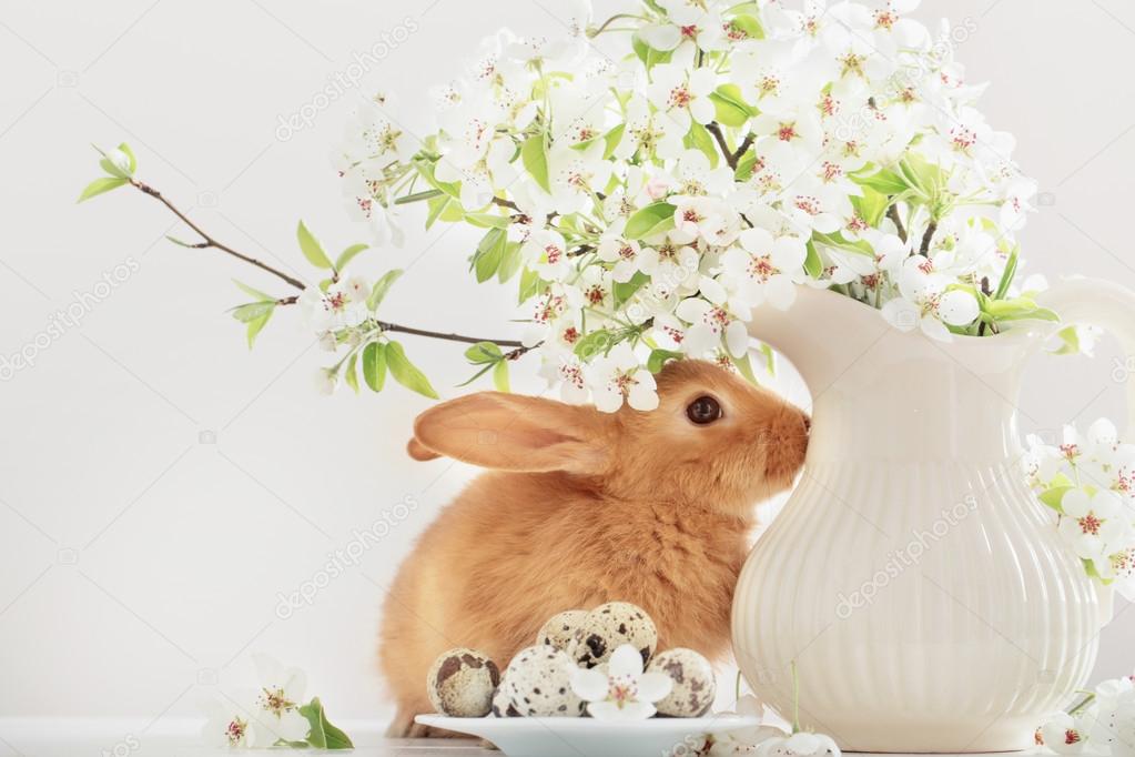 Red rabbit with Easter eggs on white background