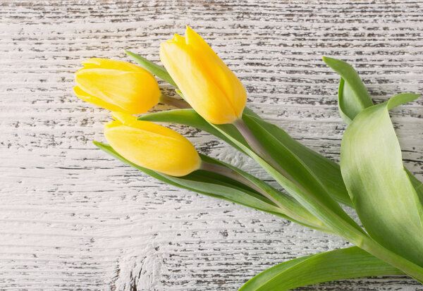 yellow tulips over wooden background