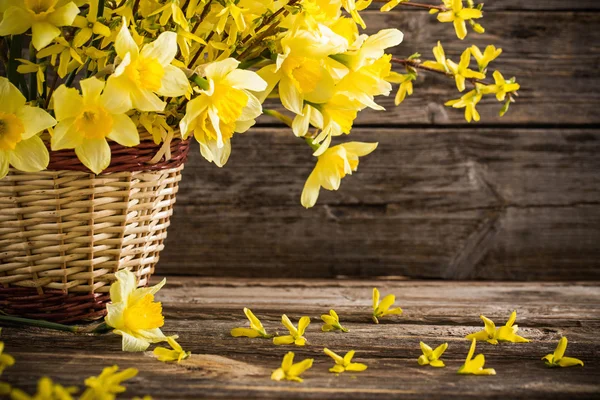 Still life with yellow flowers — Stock Photo, Image