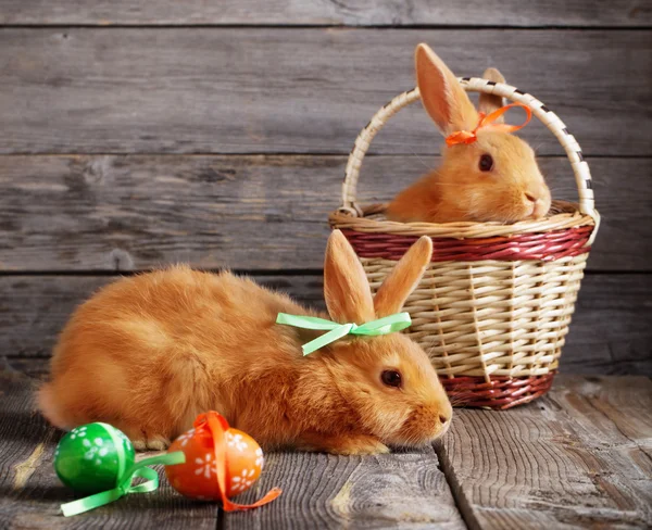 Coelhos com ovos de Páscoa em fundo de madeira — Fotografia de Stock