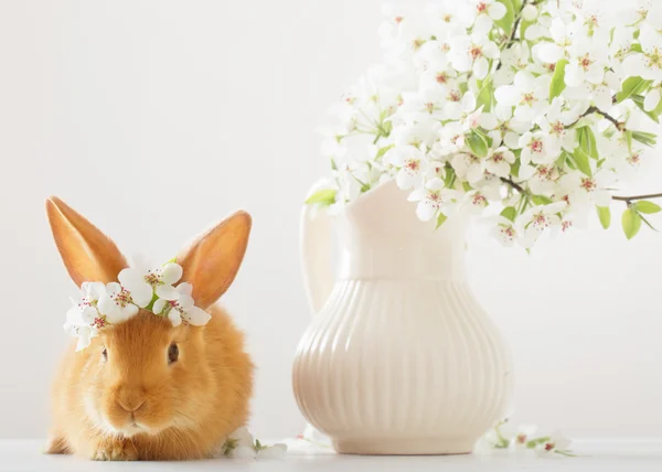 Lapin avec des fleurs printanières sur fond blanc — Photo