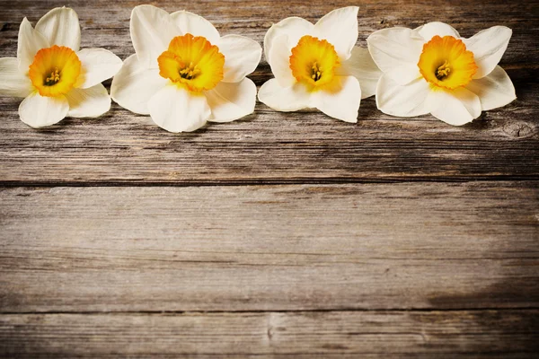 Весенние цветы на деревянном фоне — стоковое фото
