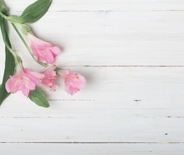 Alstremeria kwiaty na białym tle drewniane — Zdjęcie stockowe