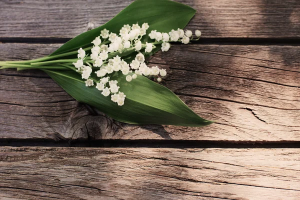 Květen lilie na dřevěné pozadí — Stock fotografie