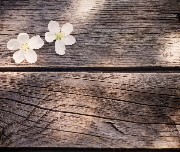 Flowers on wooden background — Stock Photo, Image