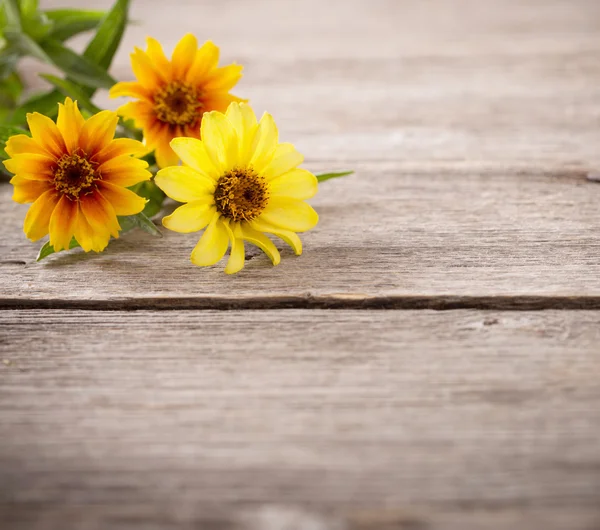 Flowers on wooden background — Stock Photo, Image