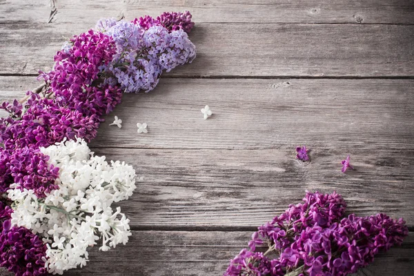 O belo lilás em um fundo de madeira — Fotografia de Stock