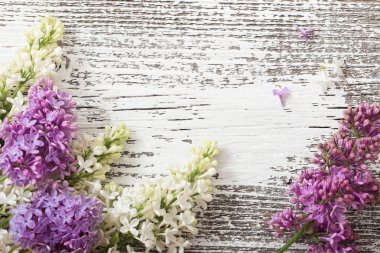 Ahşap arka plandaki güzel leylak