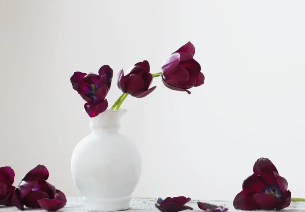 Tulipanes oscuros en jarrón —  Fotos de Stock