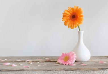 Eski ahşap masa üzerinde vazoda gerbera