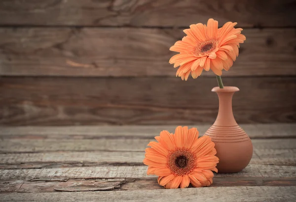 Eski ahşap zemin üzerine vazo içinde gerbera