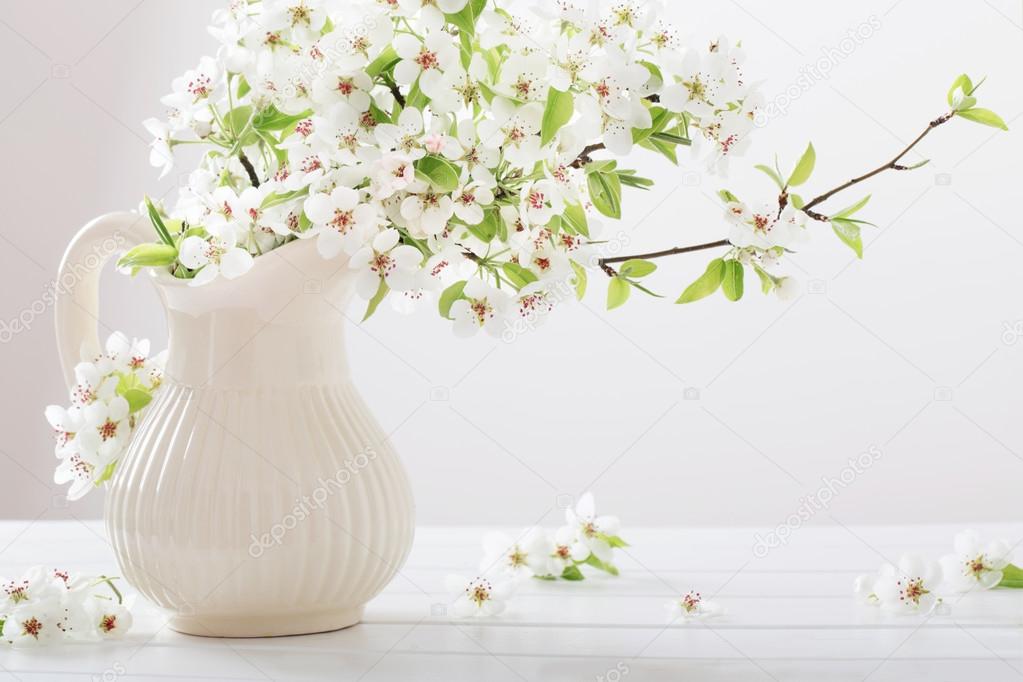 cherry flowers on white background