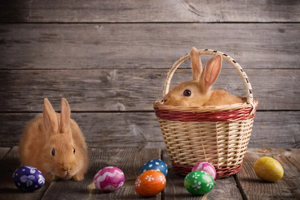 Rabbits with Easter eggs on wooden background — Stock Photo, Image