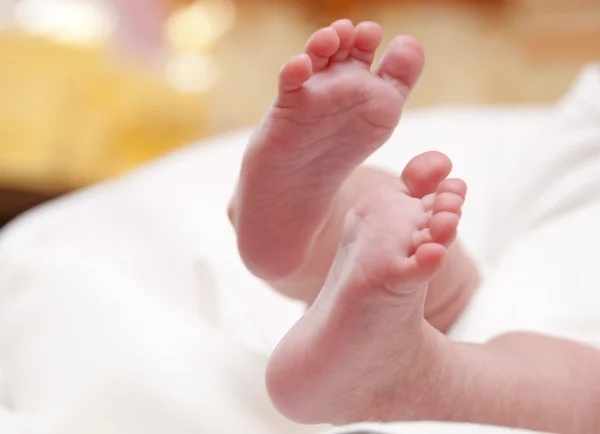 Small newborn's foot Royalty Free Stock Images