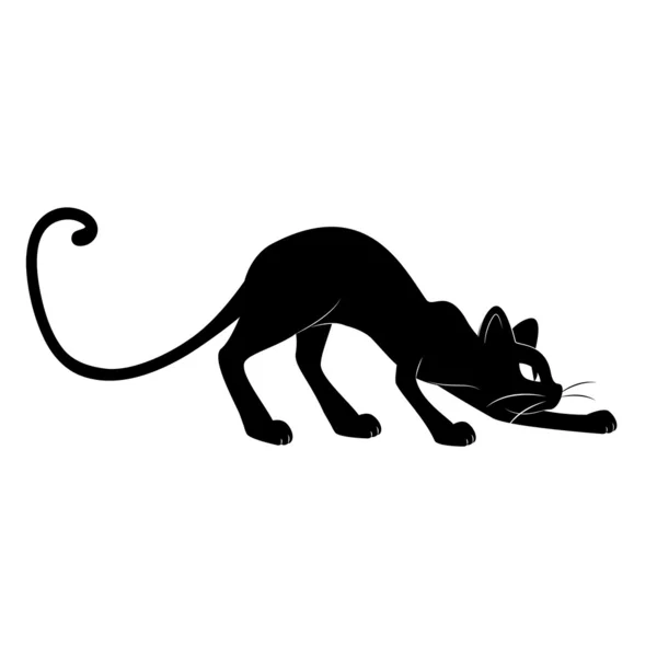 Silhouette gatto nero . — Vettoriale Stock