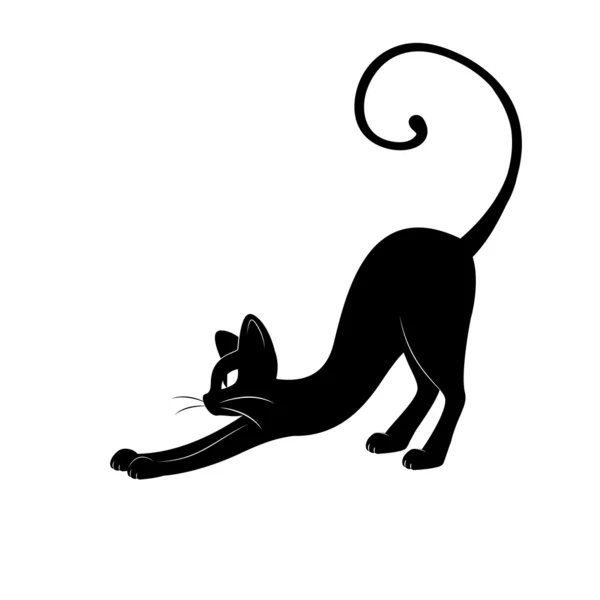 Silhouette chat noir . — Image vectorielle