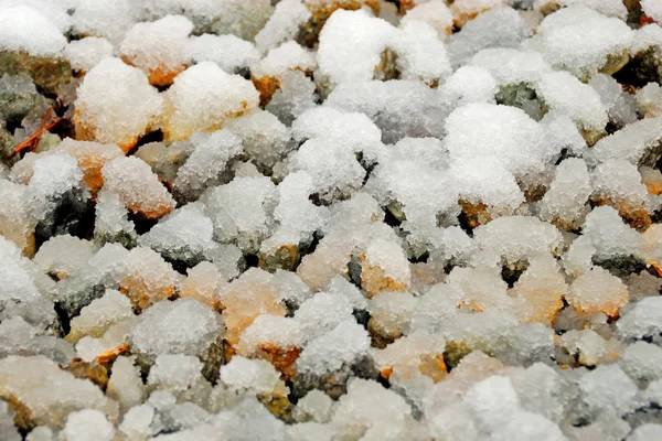 Гравійне покриття зі снігом — стокове фото