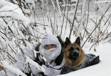 Saratov, Rusya 12 Aralık 2007: Fsb Rusya Saratov ve Samara bölgesi sınır bölümü öğretilerini pusuda karlı bir ormanda bir köpek ile bir sınır muhafaza