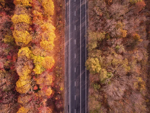 Letecký Pohled Prázdné Automobilové Silnici Podzimu Barevné Svěží Les — Stock fotografie