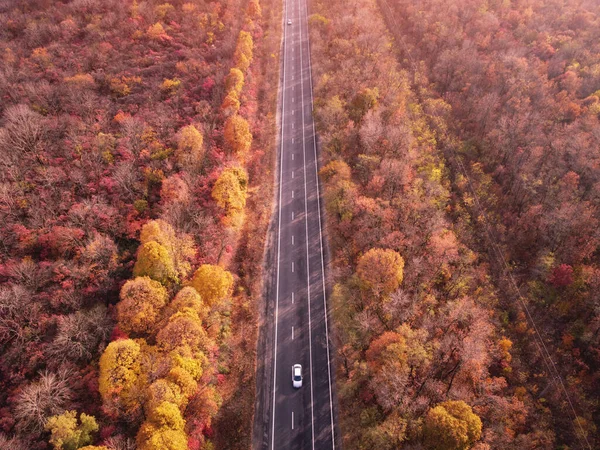 Drone Vista Sulla Strada Automobilistica Autunno Colorato Foresta Lussureggiante — Foto Stock