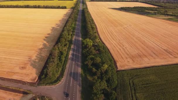 農地間のアスファルト道路上の飛行 — ストック動画