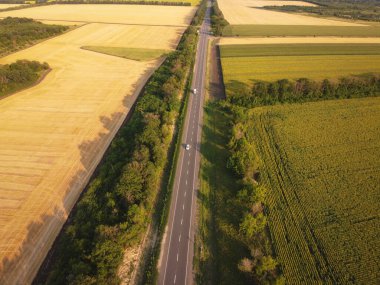 Tarlalar arasındaki otomobil yolu. Kırsal hava manzarası.
