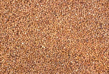 karabuğday arka plan