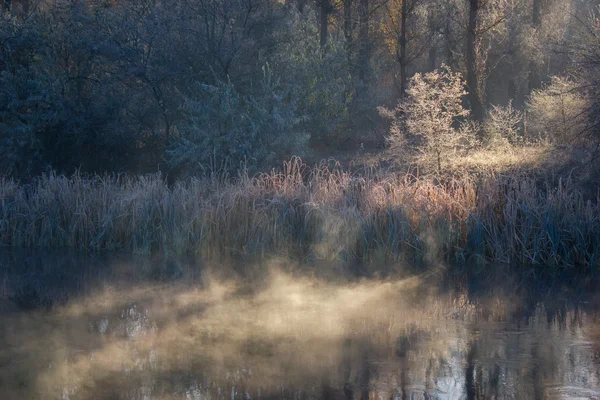 Frusen morgon på floden — Stockfoto