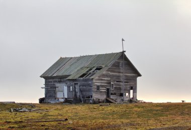 Terk edilmiş eski av evde tundra Novaya Zemlya adalar