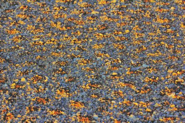Gece yarısı kutup çöl (Ağustos). Novaya Zemlya adalar