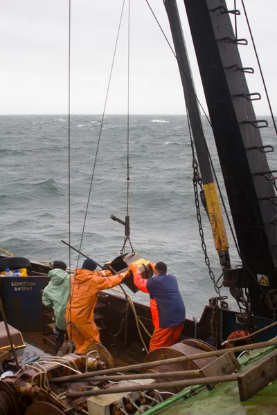 RUSSIA,  Pacific ocean - September 4, 2011:  Science. Biology of sea. Remove the Petersen grab (bottom sampler) from depths of Pacific ocean. — Stock Photo, Image