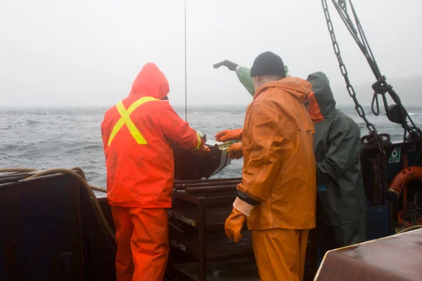 RUSSIA,  Pacific ocean - September 4, 2011:  Science. Biology of sea. Remove the Petersen grab (bottom sampler) from depths of Pacific ocean 6