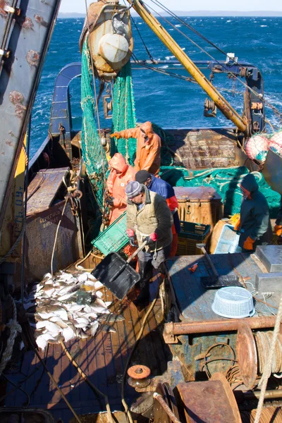 RUSSIA, Oceano Pacifico - 5 settembre 2011: Pesca marittima 2. Il peschereccio traino tira snurrevaad dalle acque dell'oceano Pacifico, passera è versato sul ponte — Foto Stock