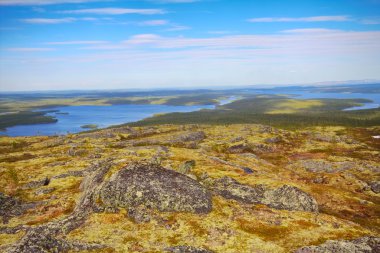 Laponya 'daki dağ tundrası