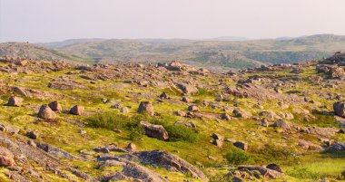 Laponya 'daki dağ tundrası