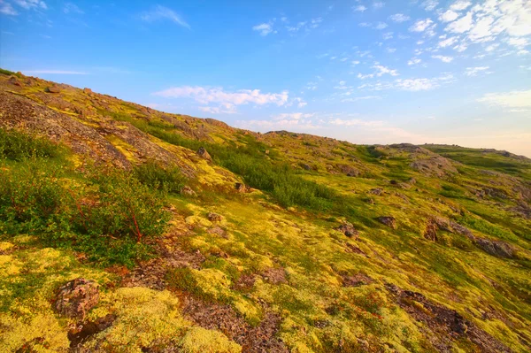 Tundra de montaña en Laponia — Foto de Stock